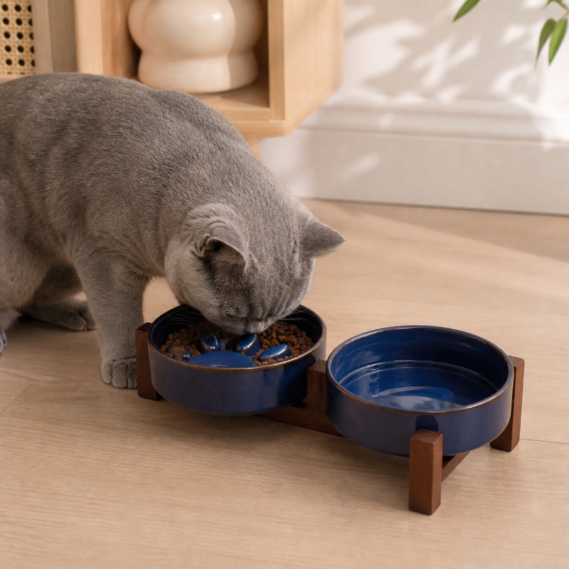 Tigela de cerâmica para gatos, - Royal Canin Food Medium avaliação e preço